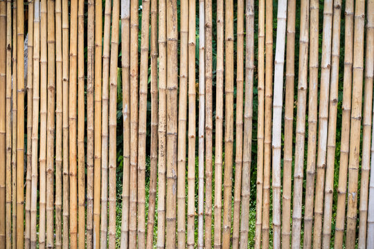 Bamboo fence background and textures.