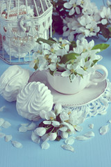 Romantic composition with tea cup, zephyr and apple flowers  