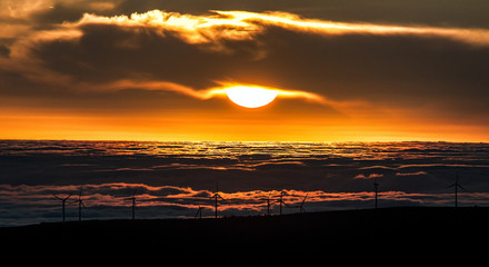 Naklejka premium Coucher de soleil