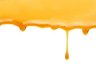 Maple syrup isolated on white background