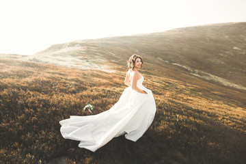 Fototapeta na wymiar Happy beautiful bride outside on a summer meadow at the sunset with perfect view
