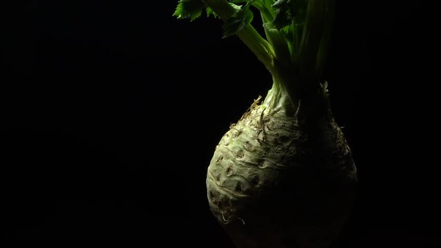Celery root in rotation