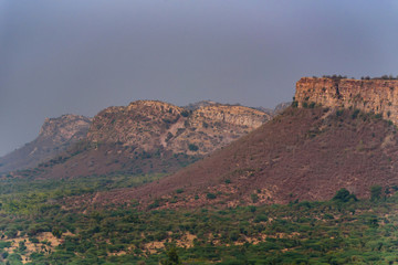 Landscape of Ranthambore, India. Lonely tree