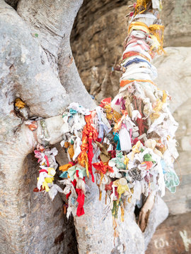 Ribbons tied to branches, Koneswaram Kovil temple, Trincomalee, Sri Lanka