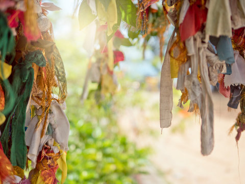 Ribbons tied to branches, Koneswaram Kovil temple, Trincomalee, Sri Lanka