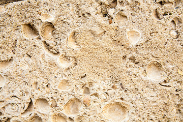 Surface of the old antique brown stone.