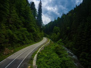  Road in the forest Aerial view