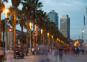 Fototapeta na wymiar Palm alley on waterfront in Barcelona in summer evening