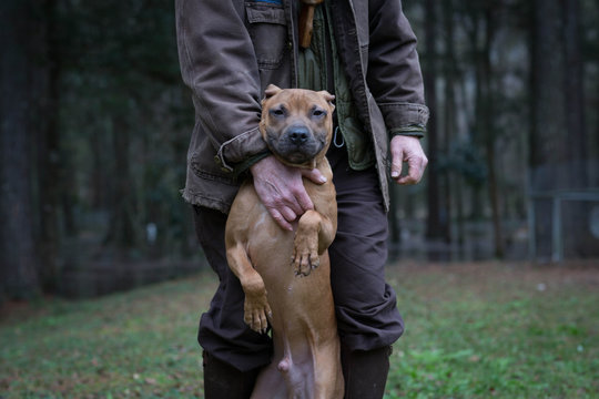 Man and pet dog standing on hind legs