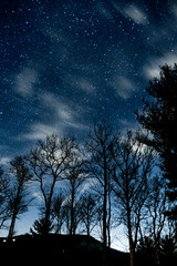 Stars in the Night Sky - 183806811