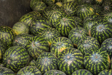 Fototapeta na wymiar Dozens of watermelon