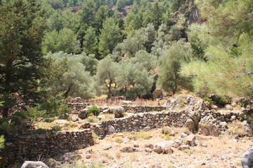 Walls and ruins in abandoned village in Samaria Gorge on Crete
