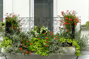  balcony with flowers