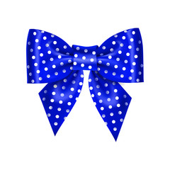 blue beautiful colored realistic vector double gift bow