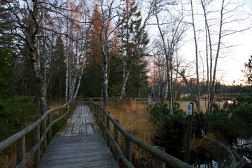 Fototapeta premium Draussen, Weinberg, Schwarzwald, Wandern, Herbst, Wiinter