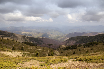 Naklejka premium Mountain Kopaonik spring landscape