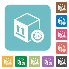 One day package delivery rounded square flat icons