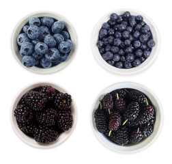 Blueberries, bilberries, blackberries and mulberries in a white bowl. Blue and black berries with copy space for text. Ripe and tasty berry isolated on white. Berries on a white background. Top view.