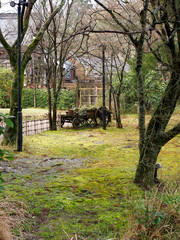 Old Cart in the garden