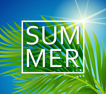 Summer poster with tropical palm leaf . Vector illustration