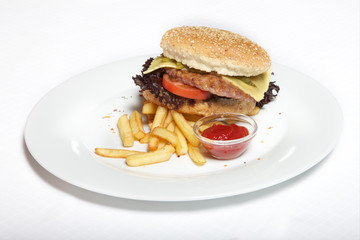 Burger full face with vegetables, spices and fries