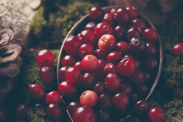  cranberry berries in a large spoon and moss © yakovlevadaria