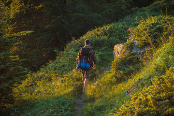 Obraz premium Hiker in the woods