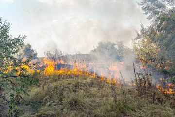 Massive forest wildfire due to hot, dry and windy weather