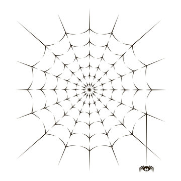 illustration of spider and spiderweb on white background