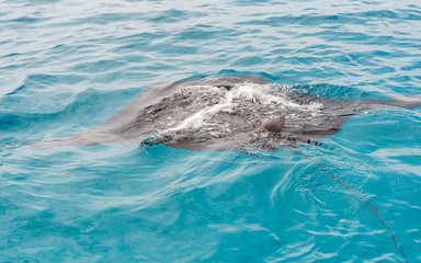 Naklejka premium Ramp on the surface of water, Male, Republic of Maldives. Close-up.