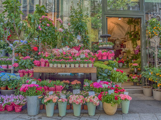 Flower Shop on a Stephansplatz in Vienna