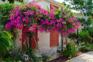 Fototapeta premium Cyprus, travel, buildings, architecture, flowers, island, sea, landscape, shore, object, outside, travel, summer