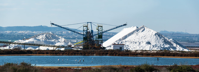 Extraction of salt in Torrevieja, Spain