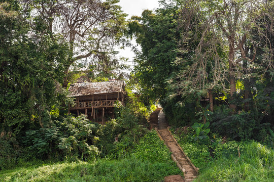 Wooden building in the middle of the forest, Louangphabang, Laos. Copy space for text.