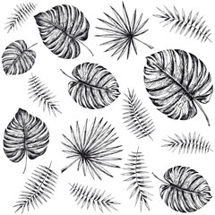 Tropical palm leaves design template.