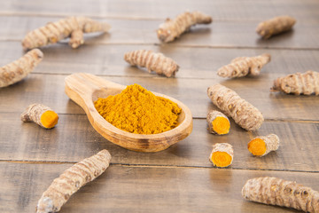 Roots and turmeric powder - Curcuma longa