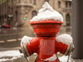Feuerseule im Schnee