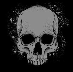 Portrait of a skull. Can be used for printing on T-shirts, flyers, etc. Vector illustration