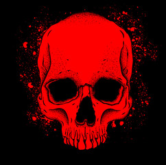 Portrait of a skull. Can be used for printing on T-shirts, flyers, etc. Vector illustration