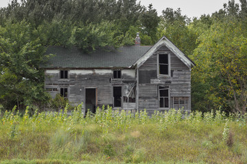 Front view of an abandoned farmhouse surrounded by trees and weeds.