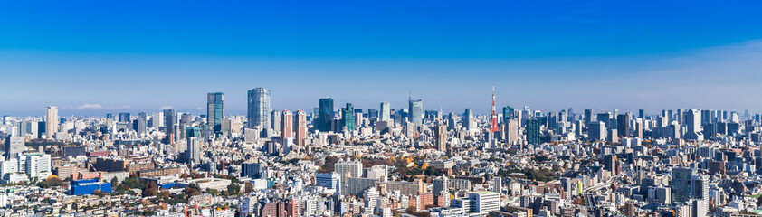 Fototapeta na wymiar 東京都市風景　パノラマ