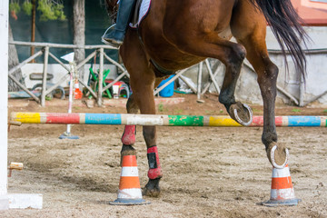 Horizontal View Of A Brown Horse Jumping The Obstacle