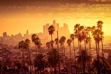 Photo sur Aluminium Los Angeles Beau coucher de soleil sur les toits du centre-ville de Los Angeles et palmiers en premier plan