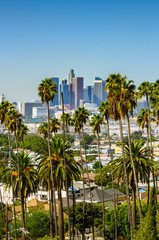 Los Angeles, California, USA downtown skyline and palm trees in foreground