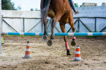 Horizontal View Of A Brown Horse Jumping The Obstacle
