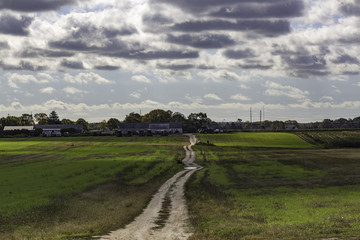 Dirt Road on the Farm in New York