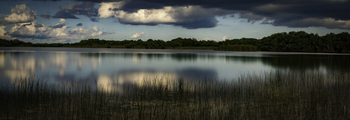 Florida Lake Panoramic 