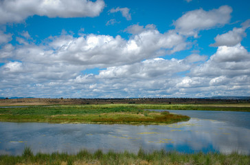 A marsh in a rural area showing refections of fluffy clouds in the water.
