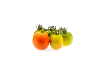 tomato on white background