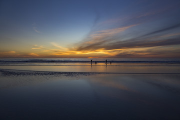 Playing with Dogs in Ocean at Sunset in Del Mar, California